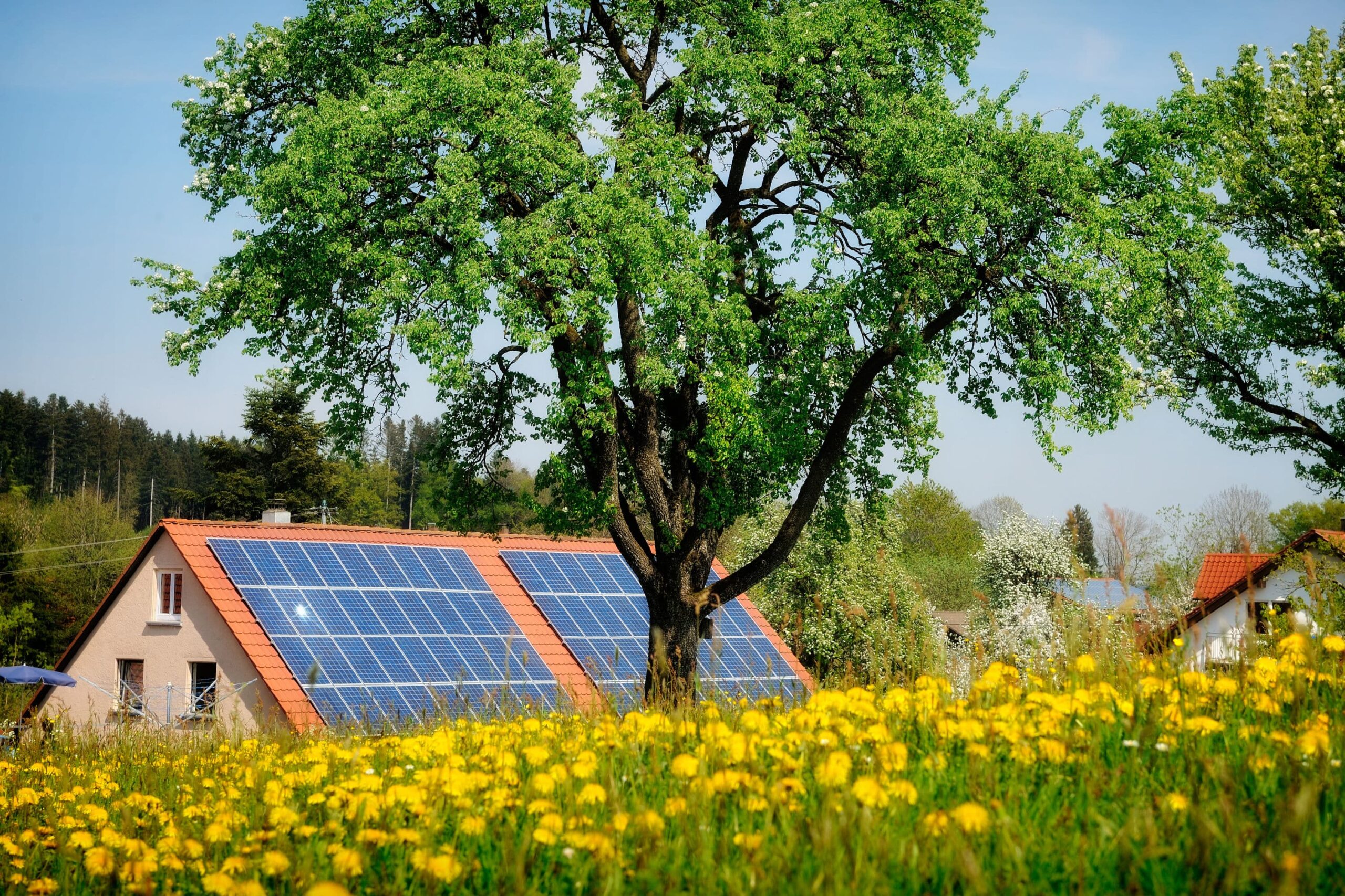 découvrez comment un panneau solaire ombre peut optimiser votre production d'énergie tout en préservant l'esthétique de votre espace extérieur. idéal pour les zones sensibles à l'ensoleillement direct, ce dispositif innovant vous permet de profiter pleinement des bienfaits des énergies renouvelables sans compromettre l'ombre de votre jardin.