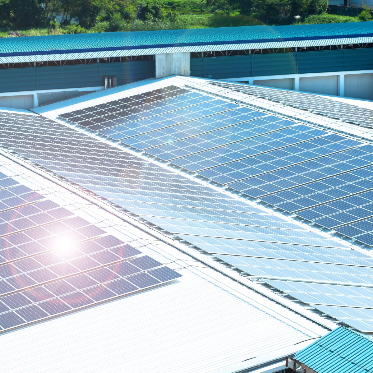 découvrez les avantages des panneaux solaires pour votre toiture : une solution écologique pour réduire vos factures d'énergie tout en protégeant l'environnement. optez pour une installation efficace et augmentez la valeur de votre maison.