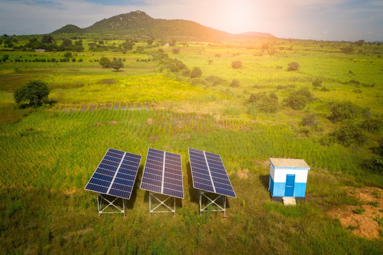 découvrez les avantages du photovoltaïque rural et comment il contribue à une énergie durable, accessible et économique pour les zones rurales. informez-vous sur les installations solaires adaptées aux exploitations agricoles et aux habitations éloignées.