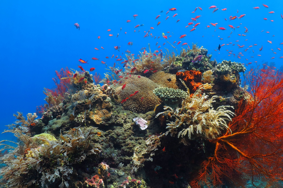 découvrez les impacts de la pollution solaire sur notre environnement et notre santé. apprenez comment les particules polluantes interagissent avec les rayons du soleil, affectant la qualité de l'air et contribuant au changement climatique. informez-vous sur les solutions pour réduire cette pollution et préserver notre planète.