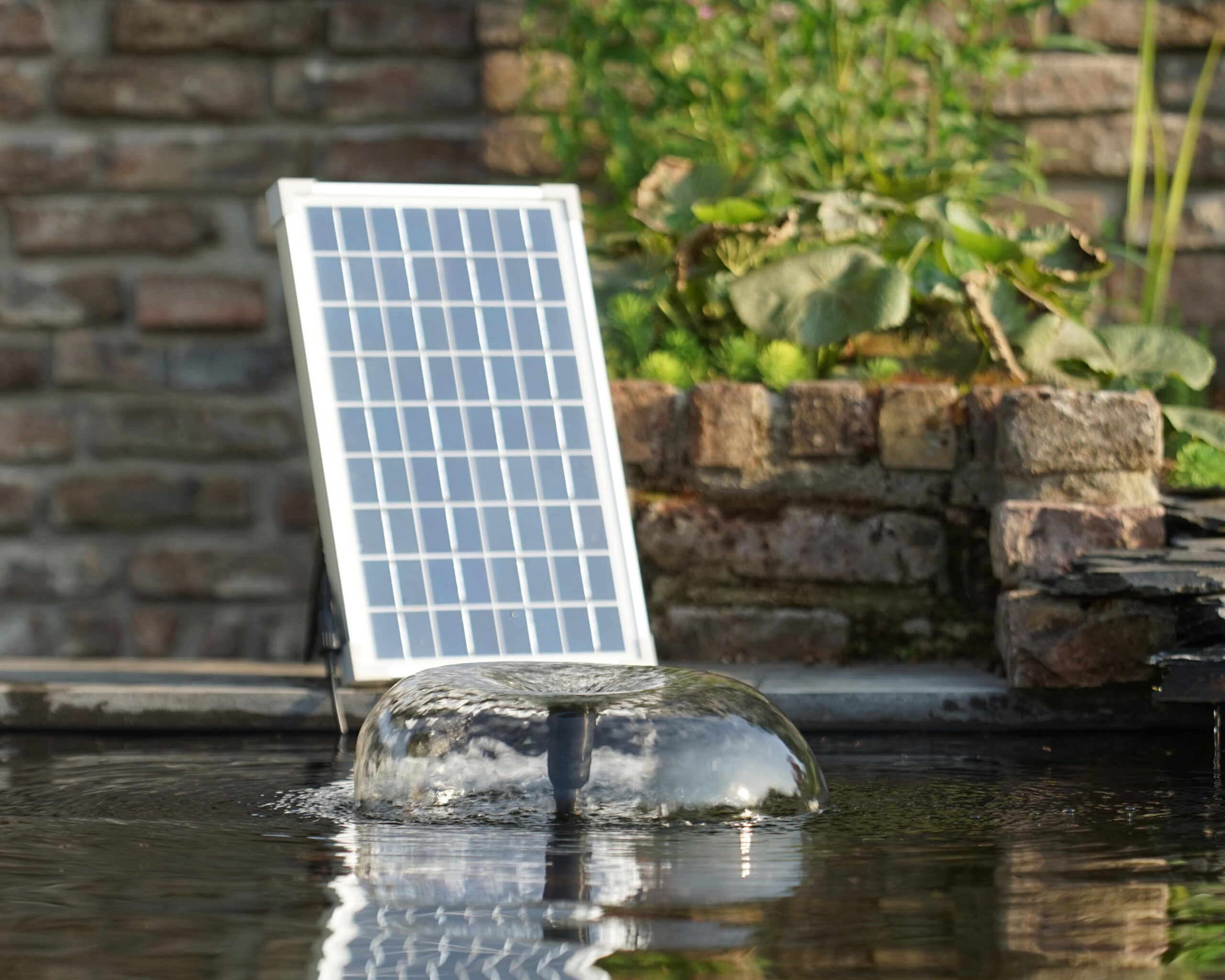 découvrez les avantages des pompes solaires, une solution durable pour vos besoins en irrigation et en approvisionnement en eau. explorez comment ces systèmes écologiques fonctionnent, économisent de l'énergie et réduisent vos factures tout en préservant l'environnement.