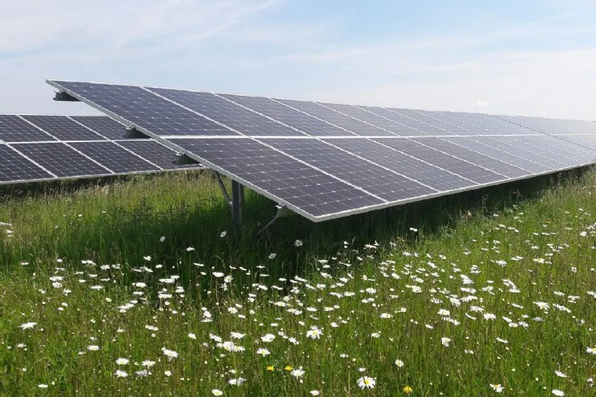 découvrez notre projet photovoltaïque communautaire, une initiative innovante qui permet aux membres de la communauté de s'investir dans la production d'énergie solaire. rejoignez-nous pour promouvoir une énergie durable, réduire les coûts énergétiques et contribuer à la transition écologique tout en renforçant les liens communautaires.