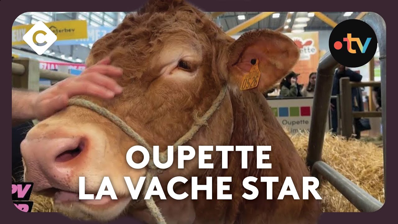 découvrez les tendances et les innovations du photovoltaïque agricole en 2025. optimisez vos cultures tout en réduisant votre empreinte carbone grâce à des solutions énergétiques durables adaptées aux exploitations agricoles.