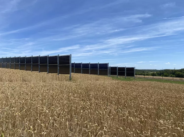 découvrez tout ce que vous devez savoir sur le pv agricole en 2025 : tendances, innovations et opportunités pour les exploitations agricoles. restez à jour sur les réglementations et des conseils pratiques pour optimiser votre production tout en respectant l'environnement.