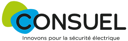 découvrez comment remplir correctement le formulaire consuel pour garantir la conformité de vos installations électriques. suivez notre guide détaillé pour éviter les erreurs et faciliter vos démarches.