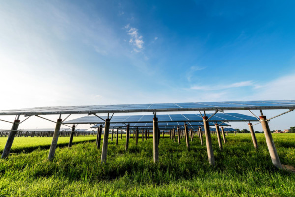 découvrez comment maximiser la rentabilité de votre ferme solaire grâce à des stratégies d'optimisation, des choix technologiques adaptés et une gestion efficace des ressources.