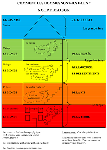 découvrez la richesse et la complexité des sentiments humains, une exploration des émotions qui définissent notre existence et influencent nos relations. plongez dans un univers fascinant où l'empathie, l'amour et la mélancolie se rencontrent.
