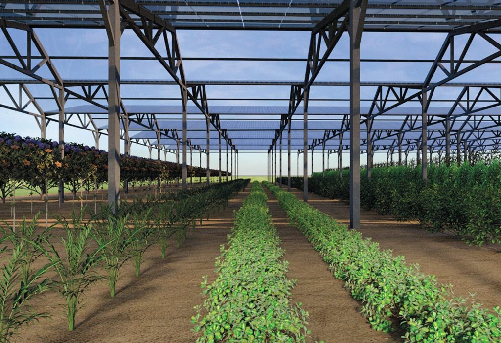 découvrez comment obtenir une serre photovoltaïque gratuite pour cultiver vos plantes tout en produisant de l'énergie renouvelable. profitez d'un espace optimisé pour vos cultures, alliant durabilité et efficacité énergétique.