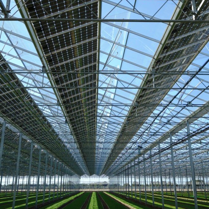 découvrez les avantages d'une serre solaire pour cultiver vos plantes tout en profitant d'une source d'énergie naturelle. optimisez la lumière du soleil pour une croissance durable et éco-responsable, tout en protégeant vos cultures des aléas climatiques.