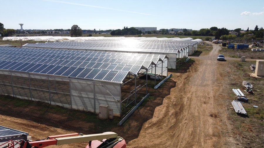 découvrez les avantages d'une serre solaire, un espace idéal pour cultiver vos plantes tout en optimisant leur croissance grâce à l'usage intelligent de la lumière naturelle. profitez d'une production jardinière durable et respectueuse de l'environnement !