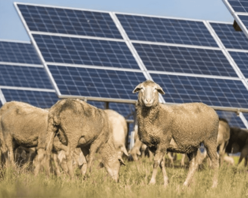 découvrez comment le solaire rural transforme les villages en sources d'énergie renouvelable, favorisant l'autonomie énergétique et la durabilité. explorez les avantages et les solutions innovantes pour un avenir plus vert et durable.
