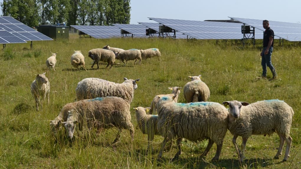 découvrez notre sélection de panneaux solaires d'occasion, idéaux pour réduire votre facture d'énergie tout en respectant l'environnement. profitez de prix abordables et d'une performance fiable avec nos produits soigneusement inspectés.