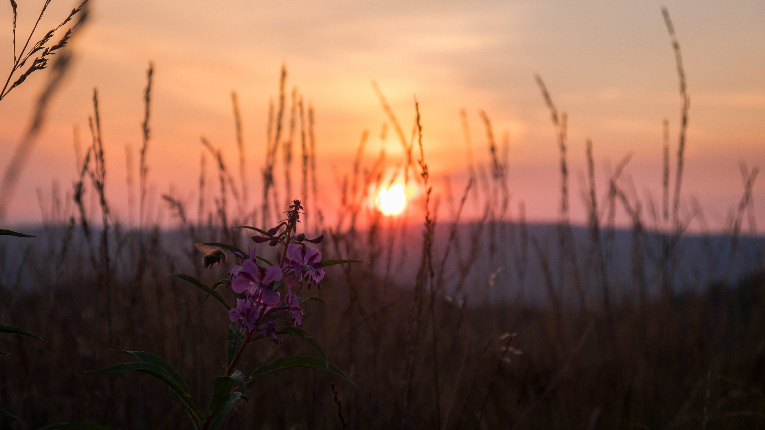 découvrez les bienfaits du soleil, cette étoile éclatante qui illumine notre planète. explorez son impact sur notre santé, nos humeurs et son rôle essentiel dans le développement de la vie sur terre.