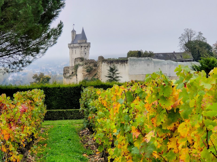 découvrez le processus de sulfatage, ses applications et son importance dans le domaine de la chimie et de l'industrie. apprenez comment cette technique peut affecter la performance des matériaux et optimiser les productions.