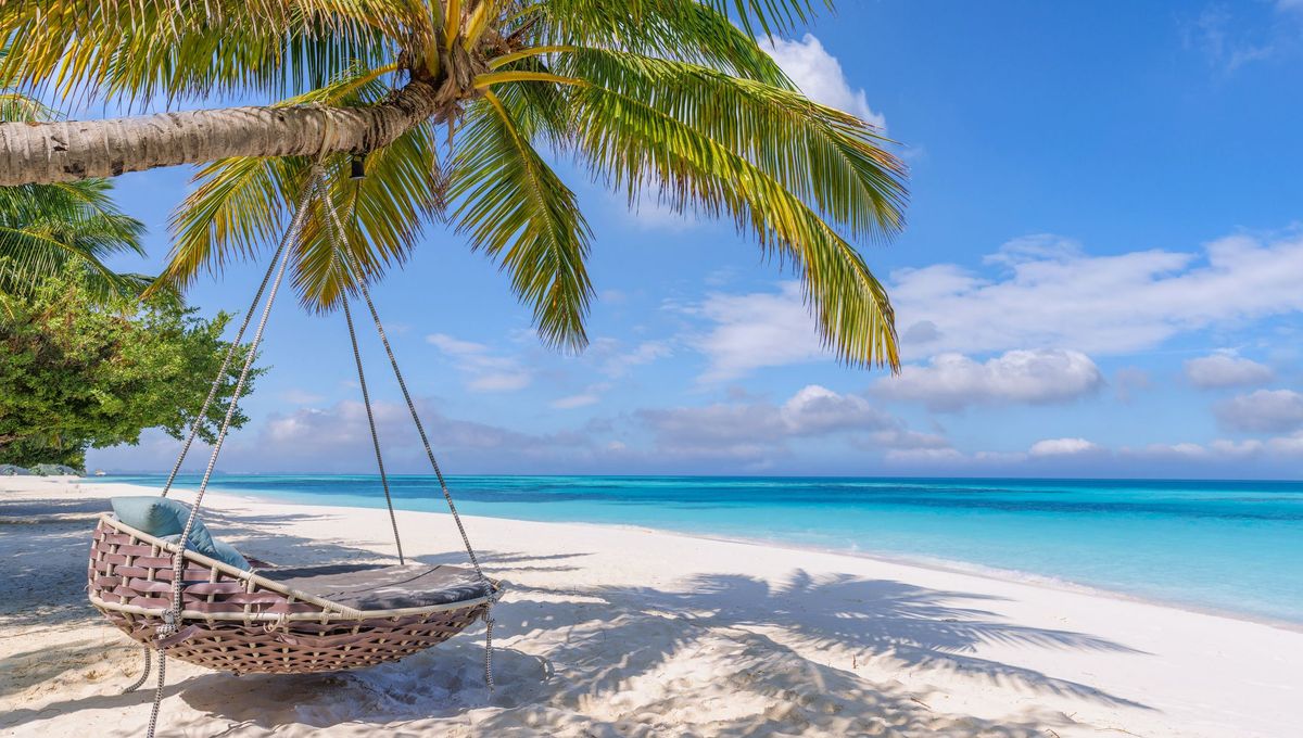 découvrez la beauté enchanteresse de tahiti, une île paradisiaque au cœur de la polynésie française. explorez ses plages de sable blanc, ses lagons turquoise et sa culture riche, tout en profitant d'expériences inoubliables entre aventure et détente.