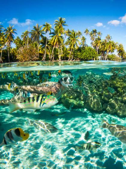 découvrez tahiti, joyau de la polynésie française, célèbre pour ses paysages à couper le souffle, ses plages de sable blanc et sa culture riche. explorez ses lagons turquoise, ses montagnes verdoyantes et laissez-vous séduire par l'authenticité de ses traditions.