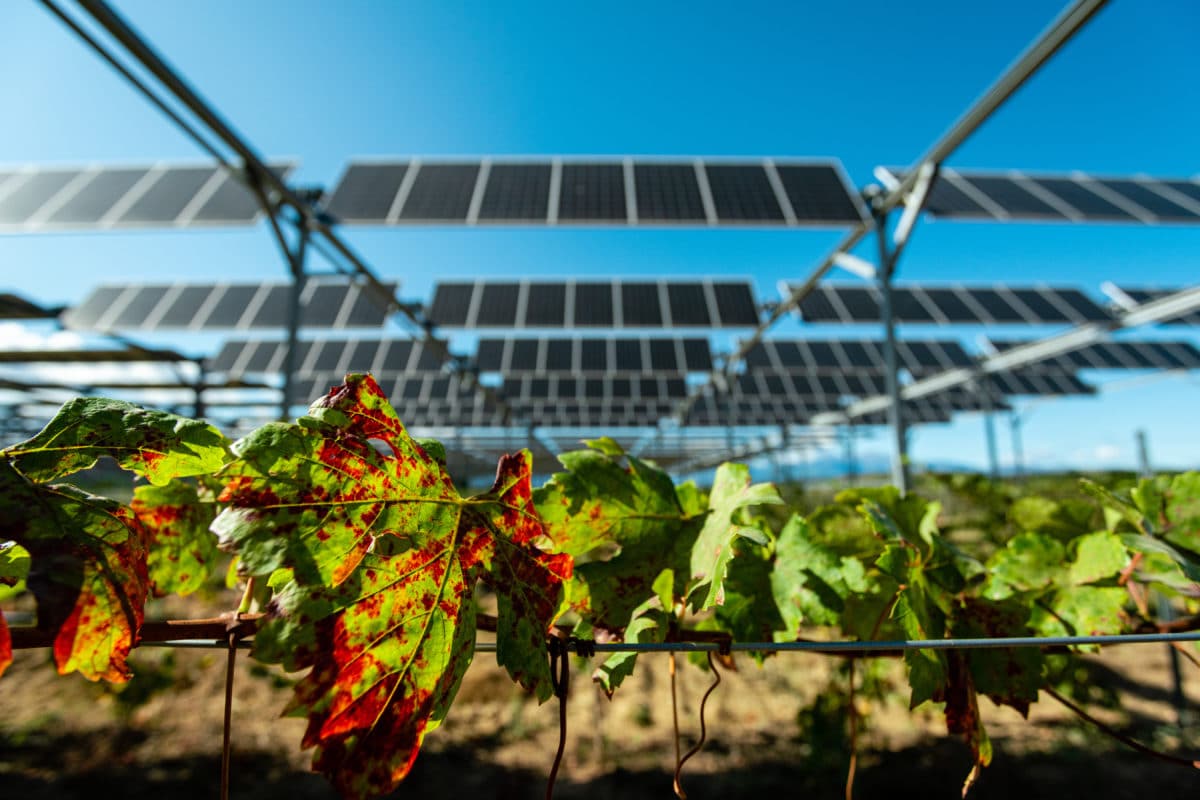 découvrez des témoignages captivants sur l'énergie photovoltaïque ! apprenez comment des particuliers et des entreprises ont transformé leur consommation énergétique grâce aux panneaux solaires. inspirez-vous de leurs expériences, des avantages financiers et environnementaux qu'ils ont remarqués, et envisagez vous aussi de passer au photovoltaïque.