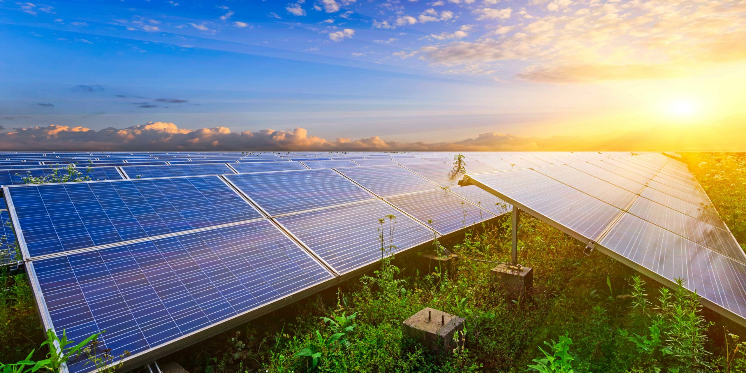 découvrez les dernières tendances en matière de photovoltaïque, incluant les innovations technologiques, les solutions durables et l'impact environnemental. restez à jour sur le marché de l'énergie solaire et explorez comment ces évolutions peuvent bénéficier à votre projet énergétique.