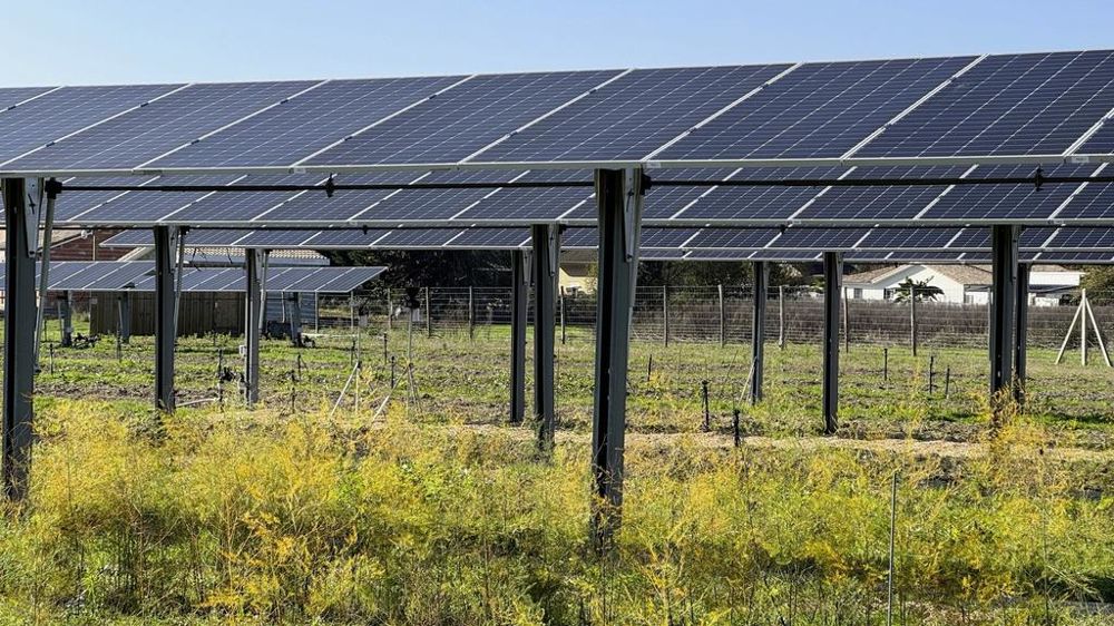 découvrez comment les terres agricoles peuvent être transformées en sources d'énergie renouvelable grâce aux panneaux photovoltaïques. explorez les avantages de la combinaison de l'agriculture et de l'énergie solaire pour un avenir durable.