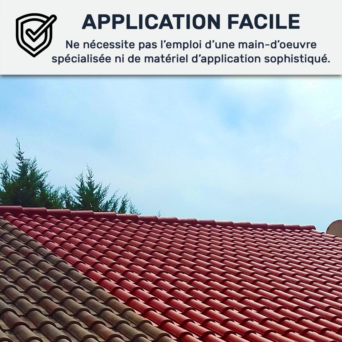 découvrez comment rendre la rénovation de votre toiture simple et accessible avec toit facile. conseils, astuces et solutions pour un toit en parfait état, adaptés à tous les budgets.