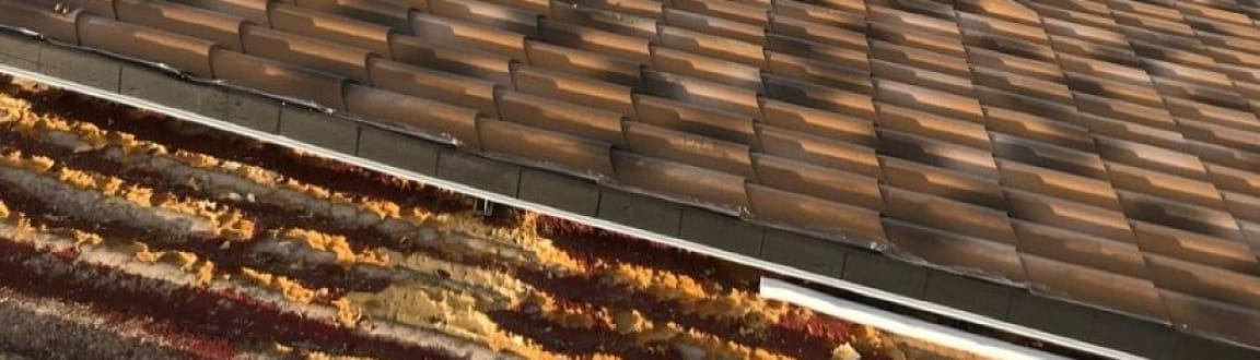 découvrez tout ce qu'il faut savoir sur les toitures en amiante, de leurs caractéristiques à leur réglementation, en passant par les risques sanitaires et les solutions de désamiantage. protégez votre santé et votre habitation avec nos conseils d'experts.