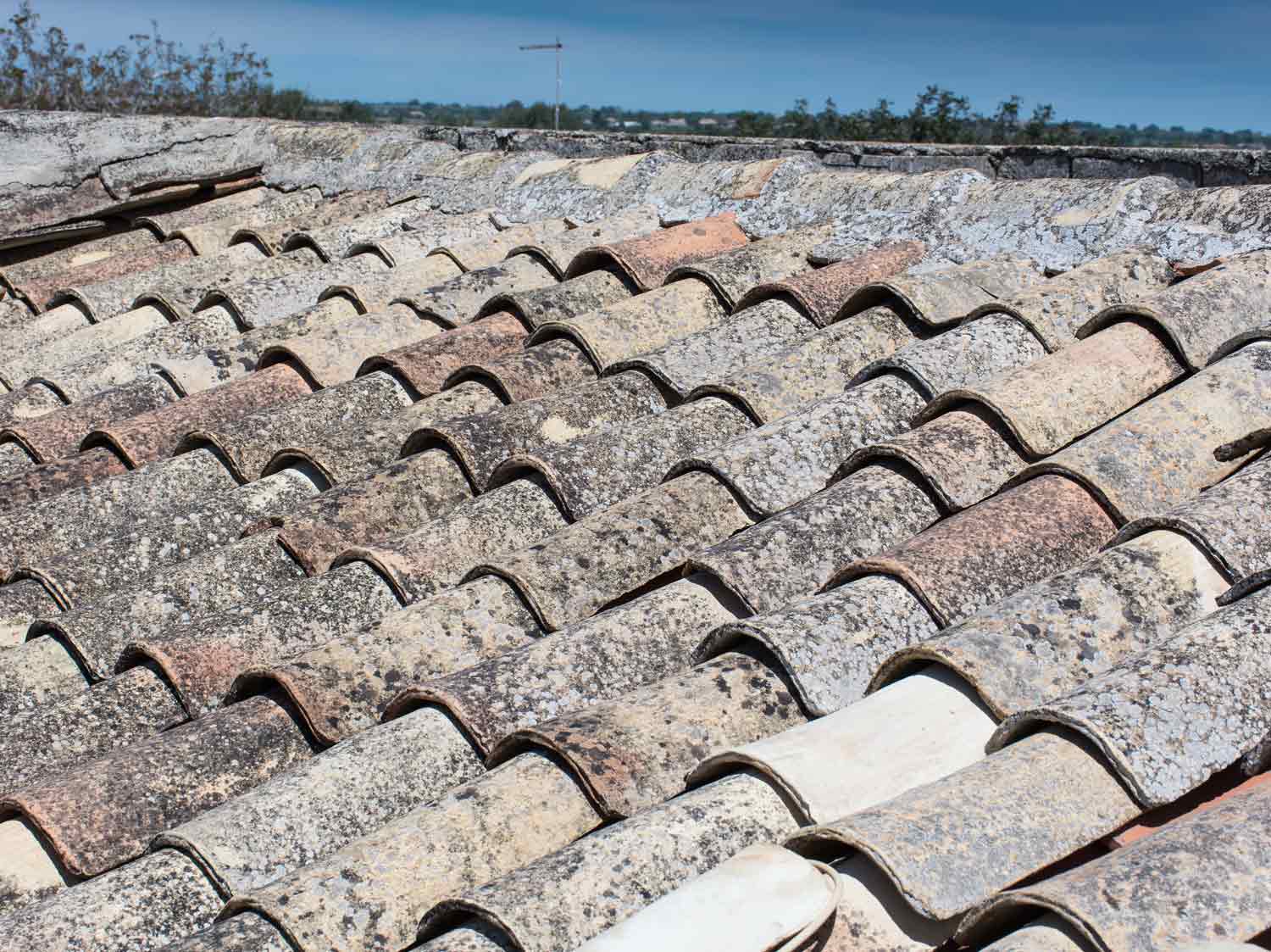 découvrez la tuile canal, un élément clé du patrimoine architectural français, alliant esthétique et fonctionnalité. apprenez tout sur ses caractéristiques, ses avantages pour l'isolation et l'étanchéité des toitures, ainsi que des conseils d'installation et d'entretien.