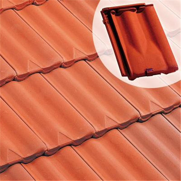 découvrez la tuile delta 10, idéale pour une ventilation efficace et une protection optimale de votre toiture. sa conception innovante garantit une durabilité et une étanchéité remarquables, alliant performance et esthétique. parfaite pour tous vos projets de rénovation ou de construction.