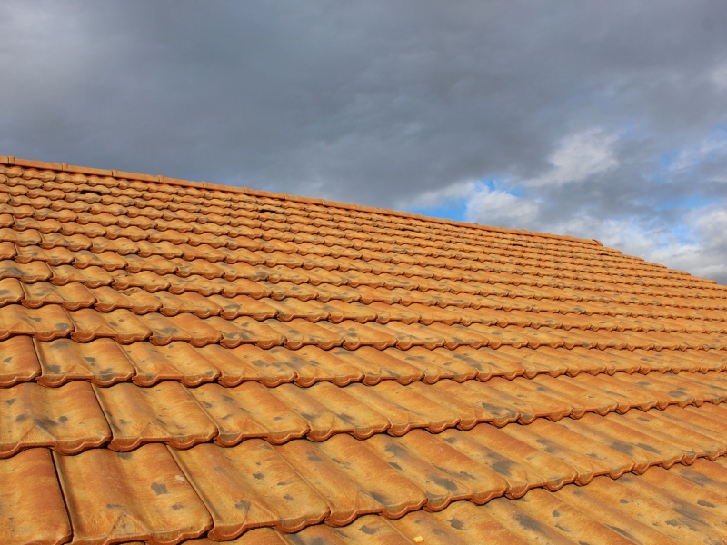 découvrez la tuile st foy, un choix idéal pour allier esthétisme et durabilité dans vos projets de construction ou de rénovation. élégante et résistante, cette tuile apporte une touche de caractère à votre habitation tout en garantissant une protection optimale contre les intempéries.