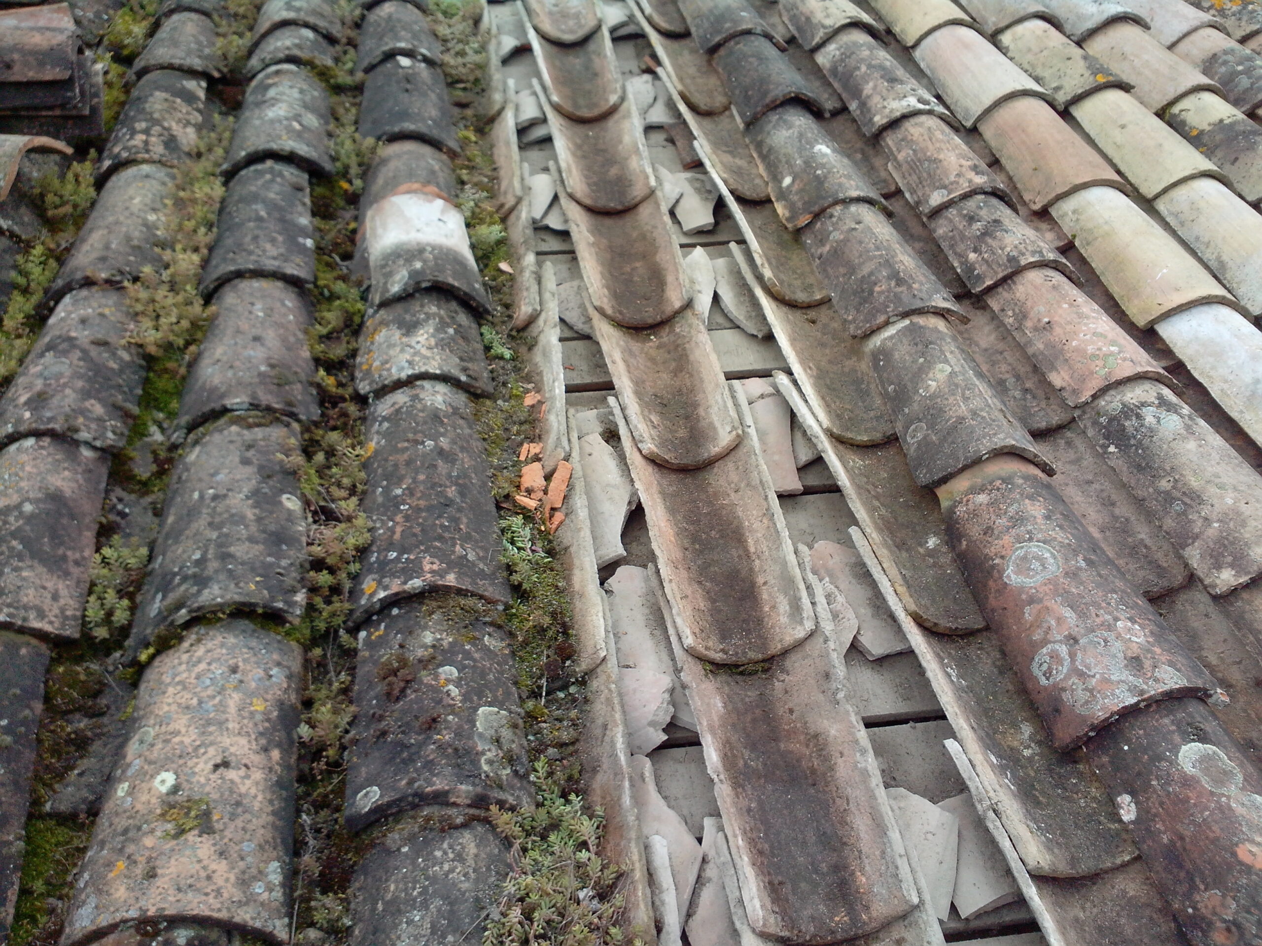 découvrez les tuiles canal volige, une solution idéale pour allier esthétisme et durabilité dans vos projets de toiture. parfaites pour donner du caractère à votre maison tout en assurant une excellente protection contre les intempéries.