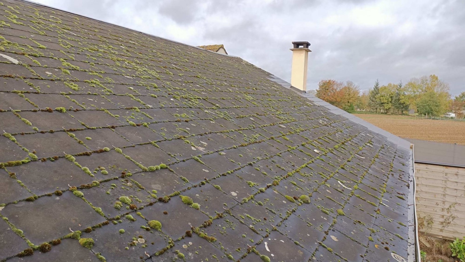 découvrez les tuiles fibro-ciment, un choix durable et esthétique pour votre toiture. résistantes aux intempéries et offrant une excellente isolation, elles combinent performance et facilité d'entretien. transformez votre habitat avec des solutions modernes et fiables en matière de couverture.