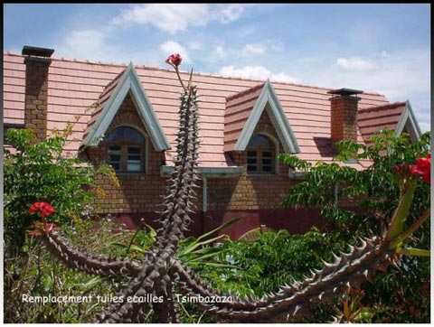 découvrez les tuiles redland, alliant performance, esthétisme et durabilité pour protéger votre toiture. idéales pour tous vos projets de construction ou de rénovation, nos tuiles offrent une large gamme de styles et de couleurs, s'adaptant parfaitement à votre maison. optez pour la qualité redland pour une toiture qui traverse le temps.