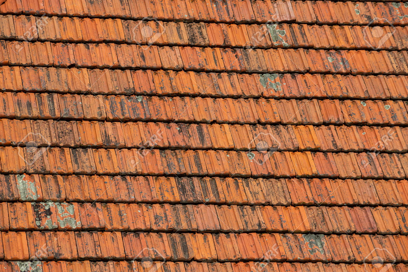 découvrez l'univers des anciennes tuiles, des trésors architecturaux qui ajoutent charme et caractère à toute rénovation. plongez dans l'histoire et l'esthétique de ces matériaux intemporels, pour donner une touche unique à votre maison.