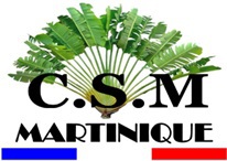 découvrez aps sarreguemines, votre expert local en services personnalisés de qualité, dédié à répondre à tous vos besoins professionnels et particuliers. profitez de notre savoir-faire et de notre engagement envers l'excellence au service de la communauté.