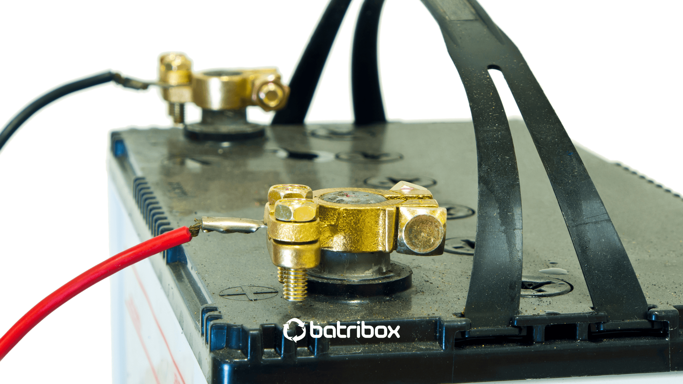 découvrez notre sélection de batteries performantes pour tous vos appareils. que ce soit pour un smartphone, un ordinateur portable ou des équipements électroménagers, trouvez la solution idéale pour garantir une autonomie maximale et une durée de vie prolongée.