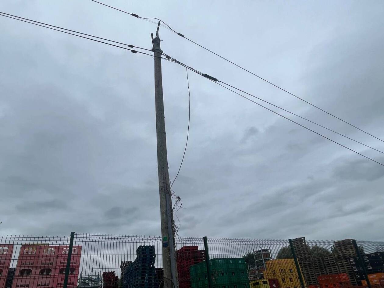 découvrez tout sur le câble enedis, essentielle pour assurer la distribution d'électricité en france. apprenez ses caractéristiques, son rôle dans le réseau électrique, et comment il garantit une alimentation fiable pour les particuliers et les entreprises.