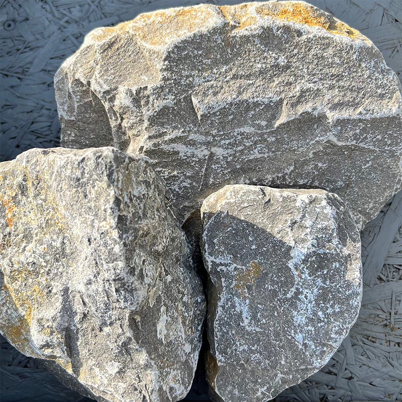 découvrez l'univers fascinant des cailloux : leurs différentes formes, couleurs, et rôles dans la nature. apprenez comment ils peuvent embellir vos espaces extérieurs et leur importance écologique.