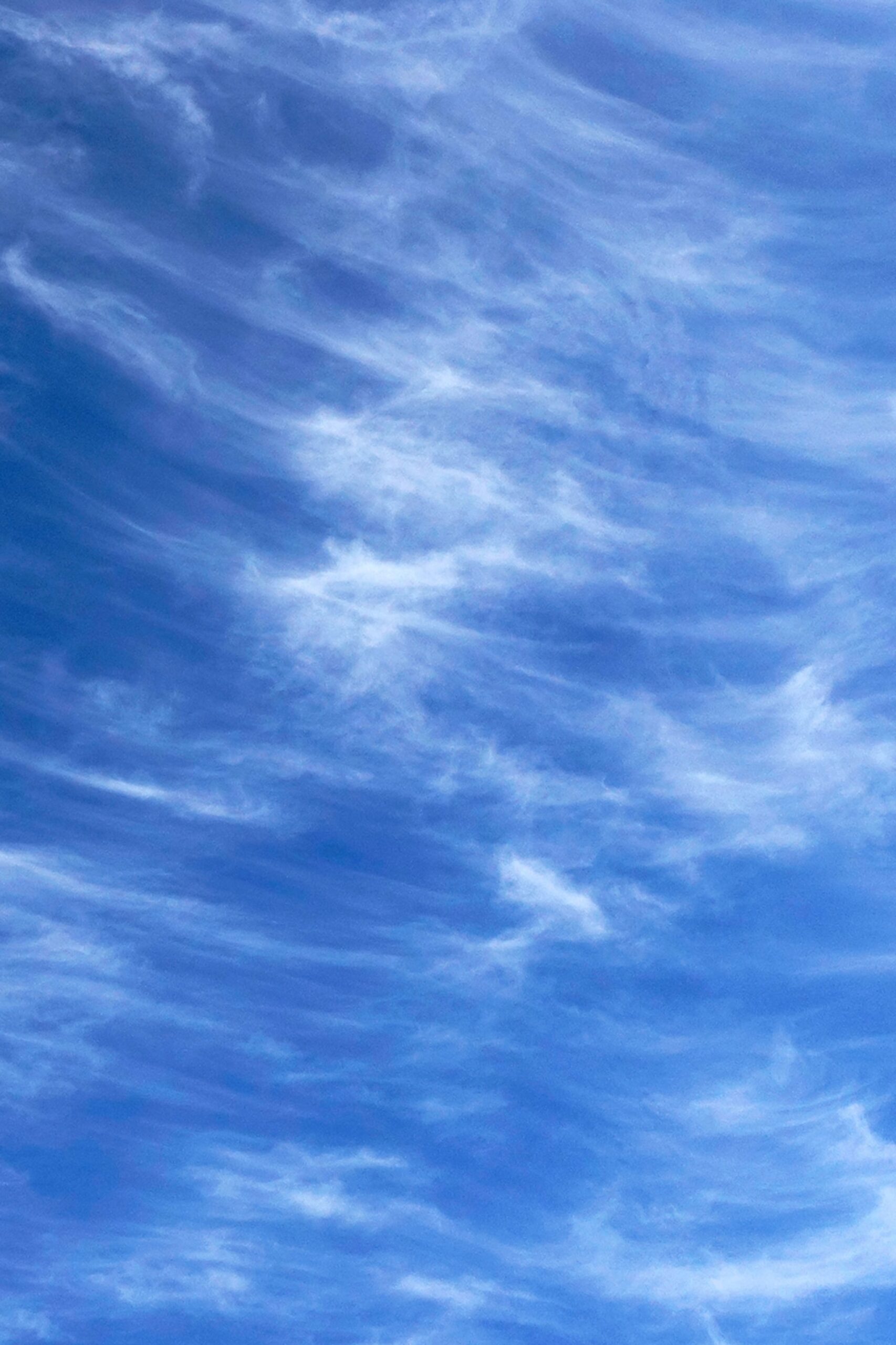 découvrez le cloud : une solution innovante pour stocker, gérer et partager vos données en toute sécurité. optimisez votre productivité grâce à un accès facile et rapide depuis n'importe quel appareil. rejoignez la révolution numérique et simplifiez votre quotidien avec des services cloud adaptés à vos besoins.