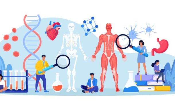 découvrez comment établir une connexion pcmp simple et efficace. suivez nos étapes pour optimiser votre accès et améliorer votre expérience utilisateur.