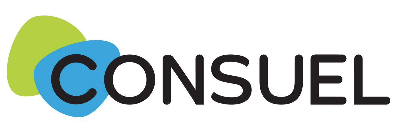 découvrez tout ce qu'il faut savoir sur le consuel, le certificat indispensable pour les installations électriques en france. informez-vous sur ses enjeux, procédures et conseils pratiques pour rendre votre installation conforme aux normes.