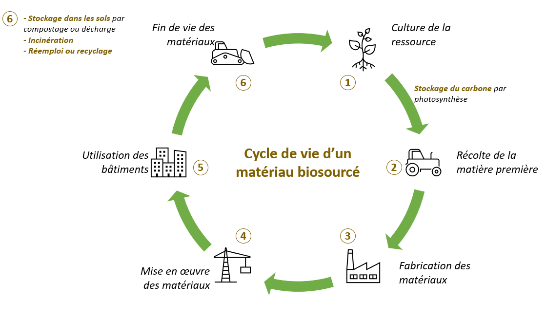 découvrez comment la culture influence le choix des matériaux dans la construction et le design. explorez les tendances, les techniques artisanales et l'impact environnemental des matériaux utilisés à travers le monde.
