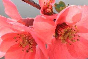 découvrez les dernières informations sur les décès survenus à lézignan. restez informé des évènements récents et des hommages rendus aux disparus dans cette commune.