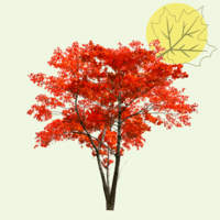 découvrez les dernières informations et actualités concernant les décès survenus à lézignan, ainsi que des hommages et des témoignages parfois émouvants qui rappellent la vie des défunts.