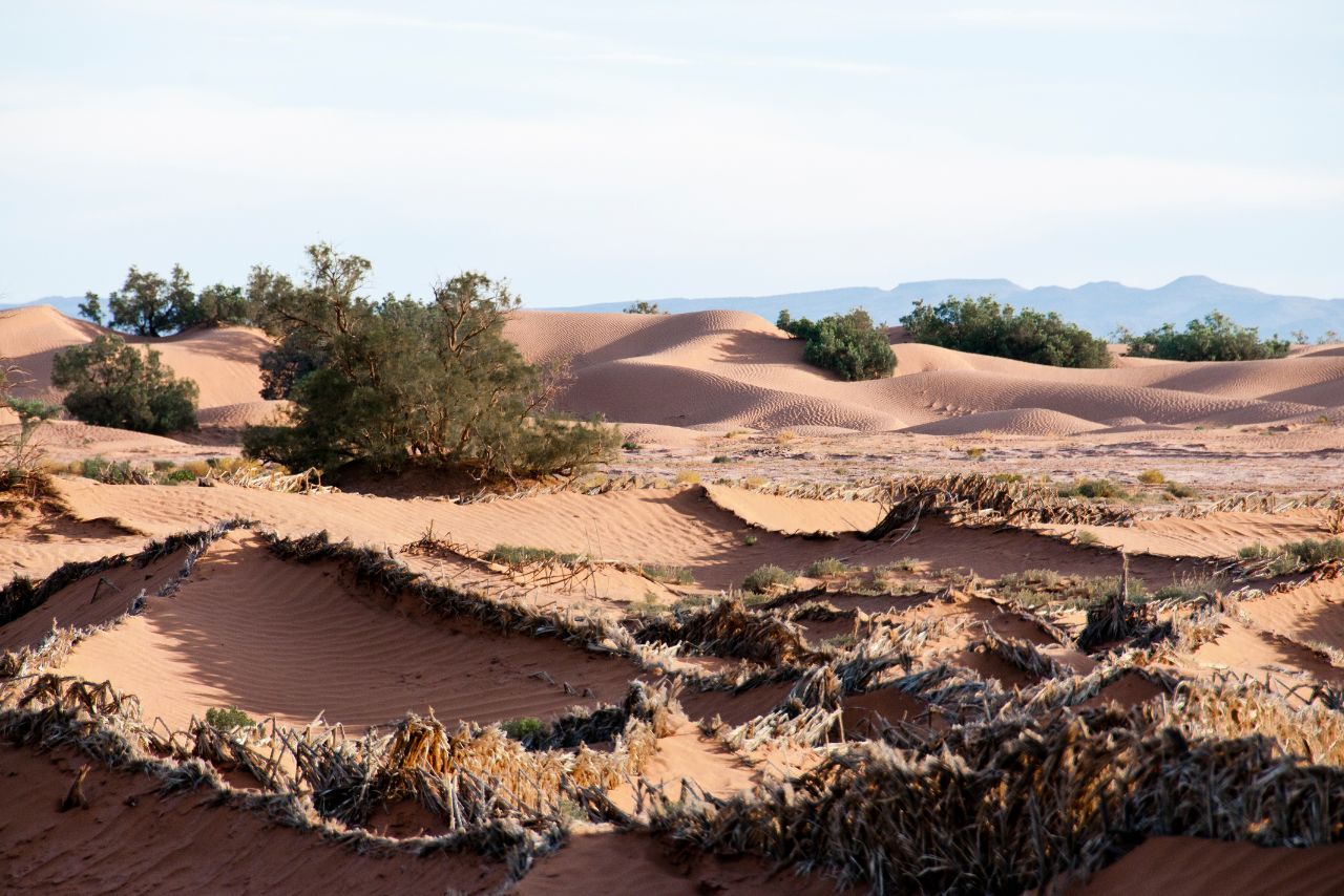 découvrez les défis et opportunités que présente l'énergie solaire dans les environnements désertiques. explorez comment surmonter les obstacles liés à la chaleur intense, à l'approvisionnement en eau et à l'infrastructure pour maximiser l'utilisation de cette source d'énergie renouvelable prometteuse.