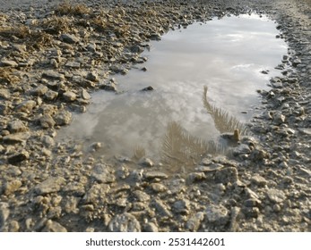 découvrez les enjeux liés à l'eau stagnante : causes, conséquences sur l'environnement et la santé, ainsi que des conseils pratiques pour la prévenir et l'éliminer efficacement.