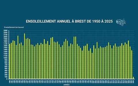 découvrez tout sur l'ensoleillement : ses impacts sur le climat, la santé, et les écosystèmes. apprenez comment maximiser vos expositions au soleil tout en protégeant votre peau.