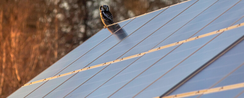 découvrez notre faq sur les panneaux solaires : questions fréquentes, fonctionnement, avantages, installation et entretien. informez-vous pour bien choisir votre système solaire.