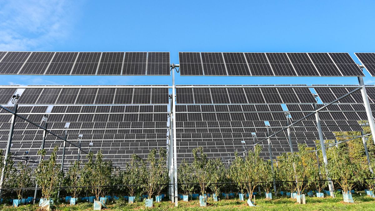 découvrez comment devenir un investisseur photovoltaïque agricole et profitez d'opportunités rentables tout en contribuant à une agriculture durable. explorez les avantages des panneaux solaires sur les exploitations agricoles et les solutions innovantes pour maximiser votre retour sur investissement.