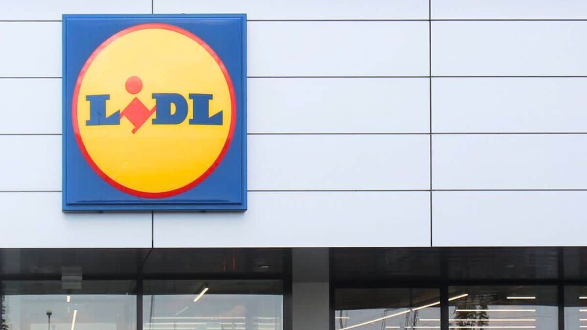 découvrez lidl la faute : des produits de qualité à prix imbattables, une expérience de shopping agréable et des promotions exclusives. explorez notre large gamme alimentaire et non alimentaire pour répondre à tous vos besoins.