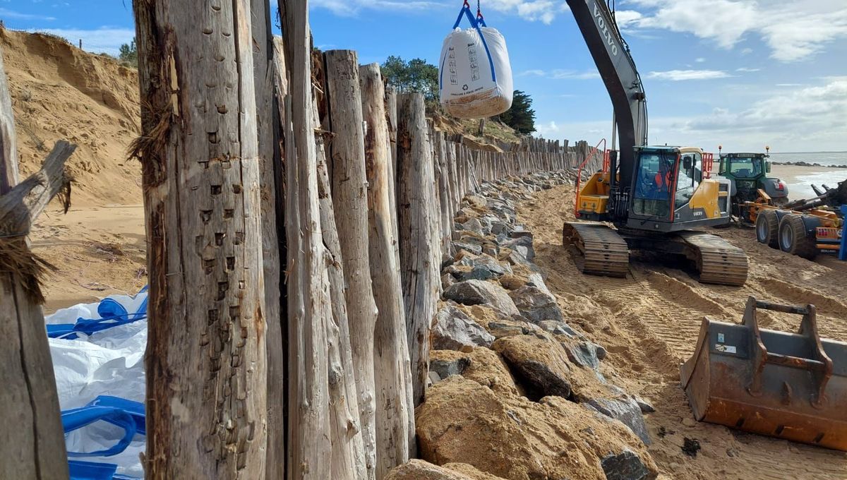 découvrez les marées à tranche-sur-mer en 2021. consultez notre guide complet pour connaître les horaires, coefficients et conseils pour profiter au maximum de la beauté des paysages maritimes tout au long de l'année.