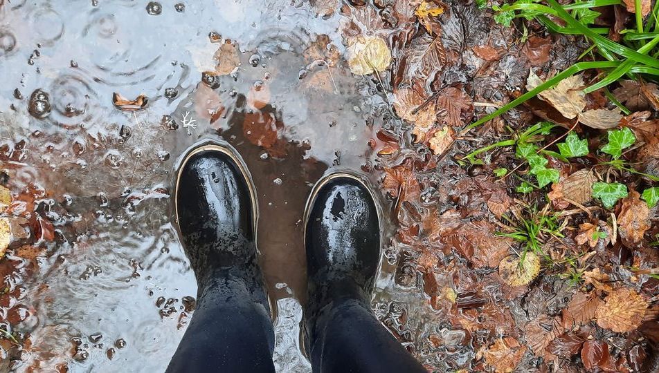 découvrez les prévisions météo complètes pour la creuse. restez informé des conditions climatiques, des températures et des alertes dans votre région. préparez vos journées en toute sérénité avec notre suivi météorologique précis.